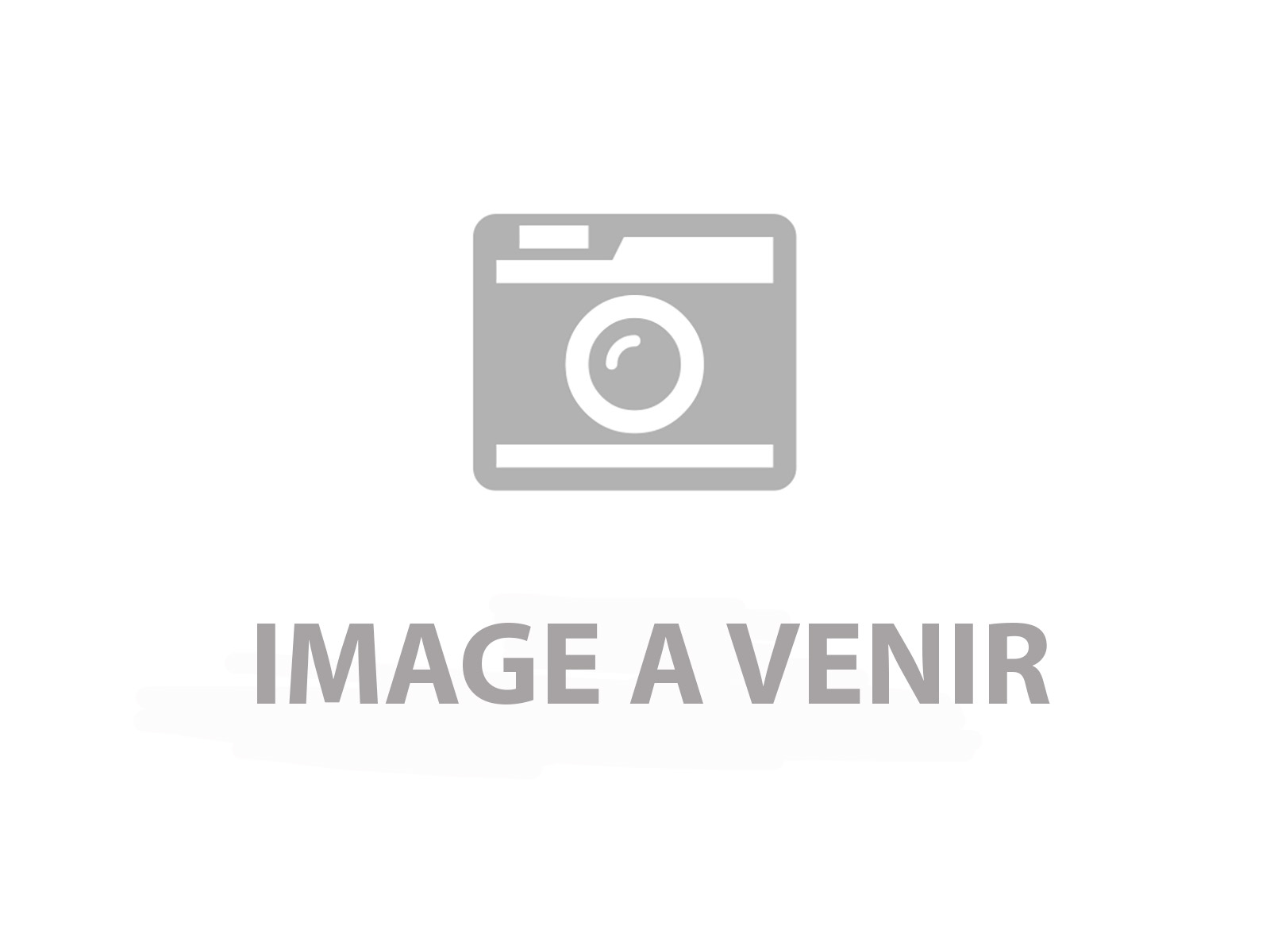 Photo de l'équipe 1